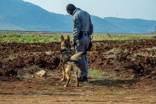 מהמקום הכי יפה בגלבוע הפכנו לעוטף ג'נין