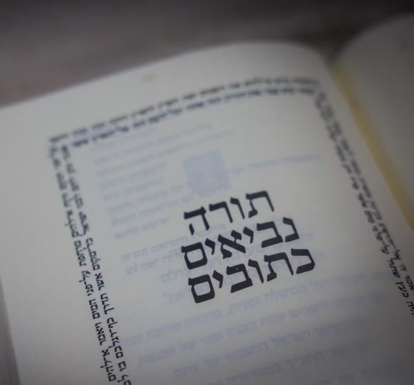 מקרה של פעם ב-27 שנה: איזו הפטרה יקראו השבת?