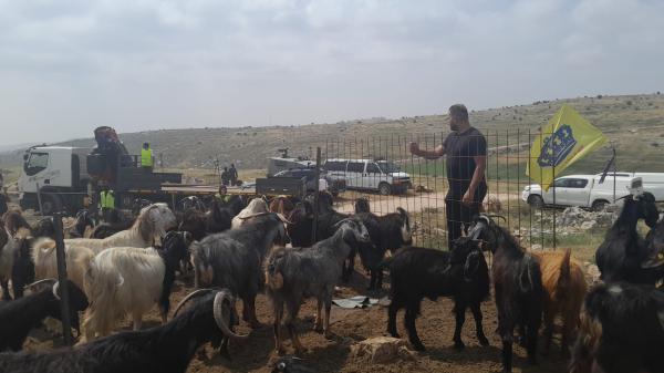 ההתנכלות נמשכת: הרס בגבעת אור מאיר בבנימין