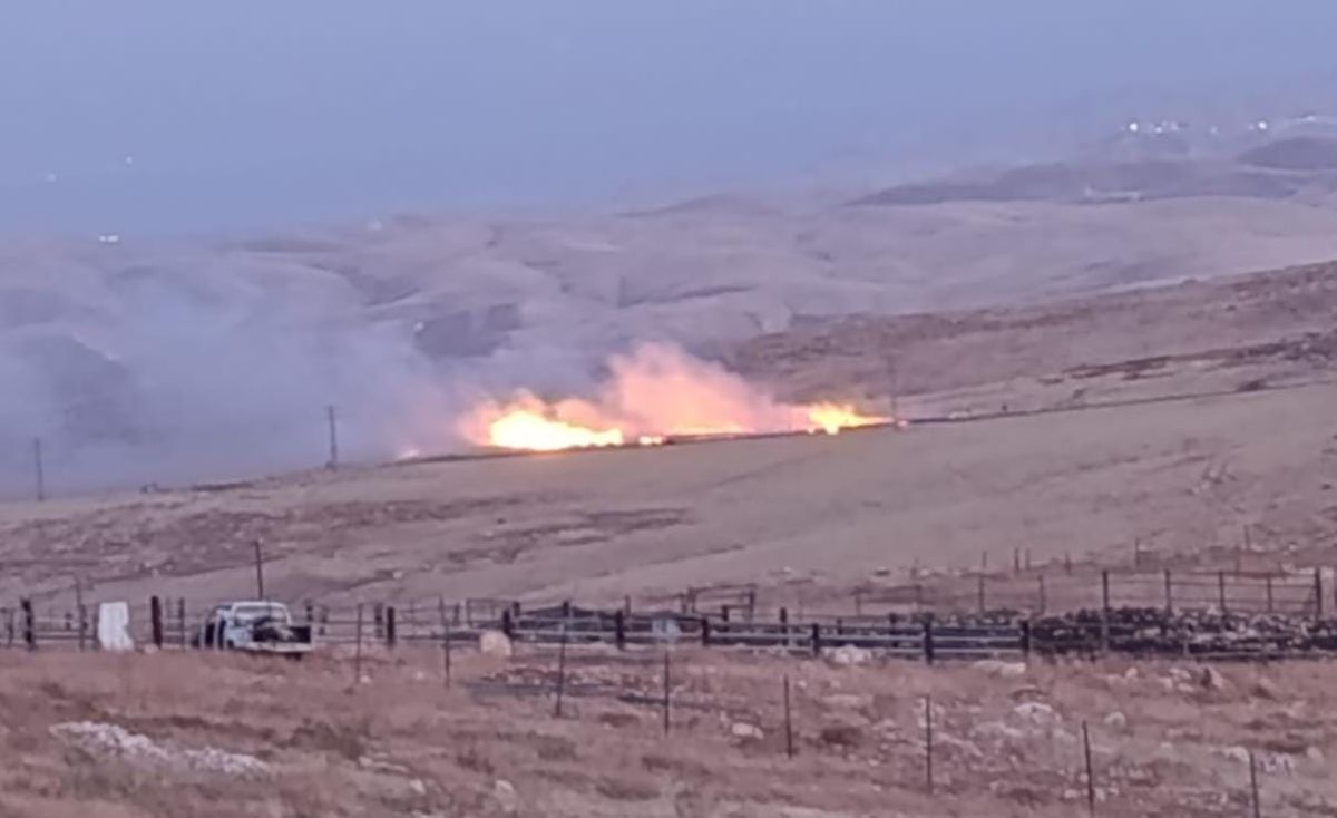 טרור ההצתות נמשך: מחבלים הציתו שטחי מרעה