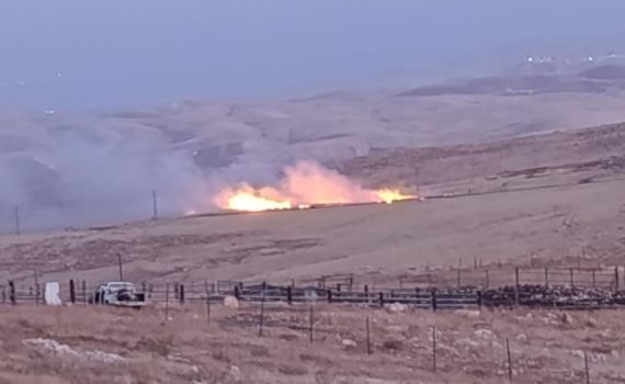 טרור ההצתות נמשך: מחבלים הציתו שטחי מרעה