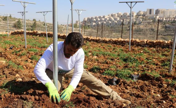 המאבק בשטח C: הרש"פ ממשיכה בהשתלטות