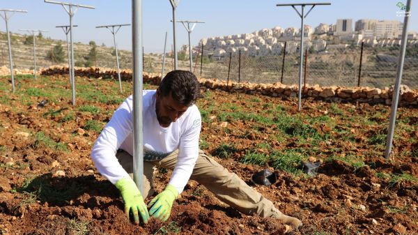 המאבק בשטח C: הרש"פ ממשיכה בהשתלטות