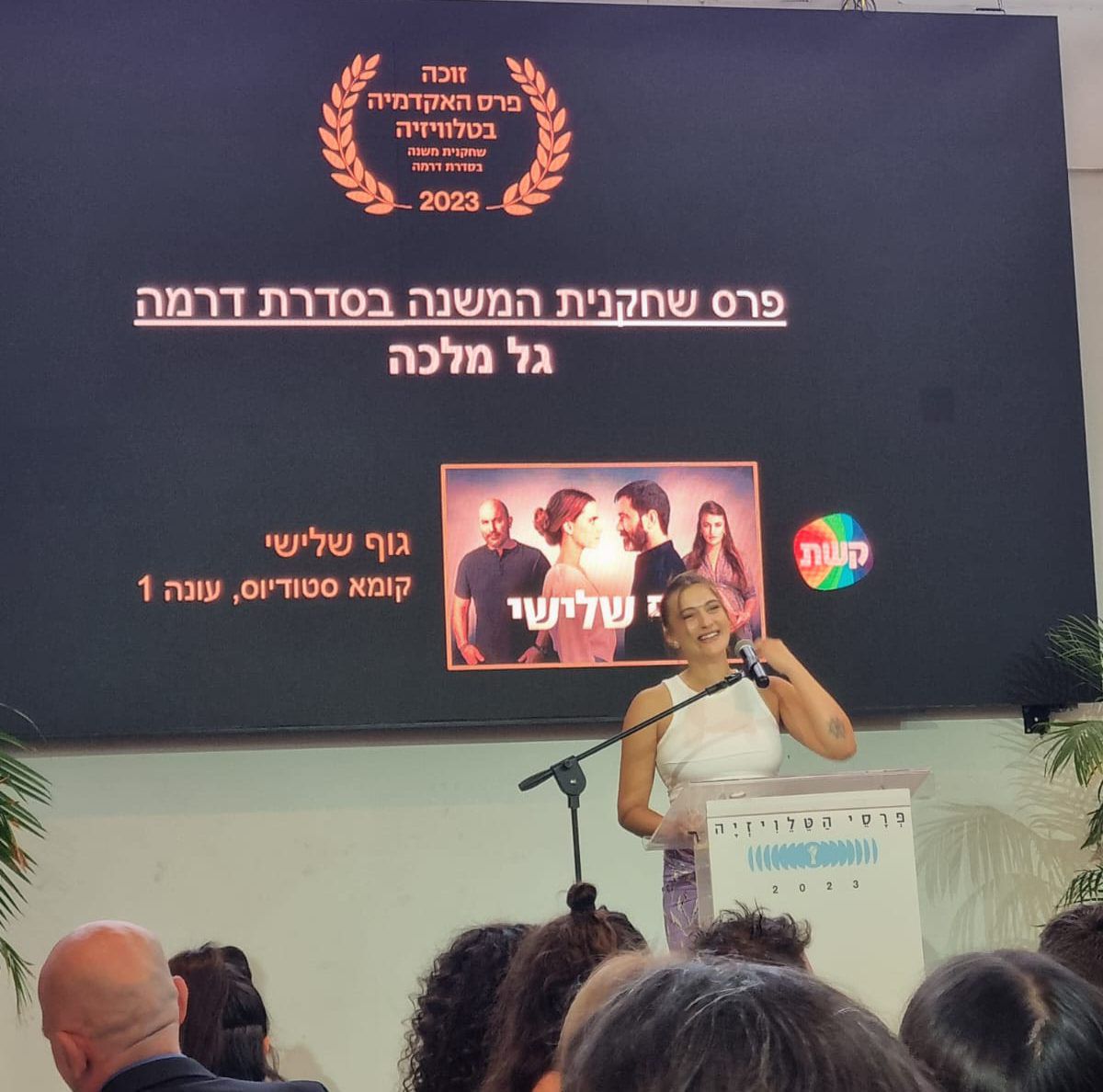 טקס פרסי הטלוויזיה: הזוכים הגדולים של השנה