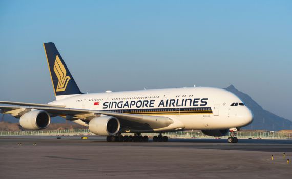 אסון בטיסה: הרוג ו-30 פצועים ממערבולת אווירית