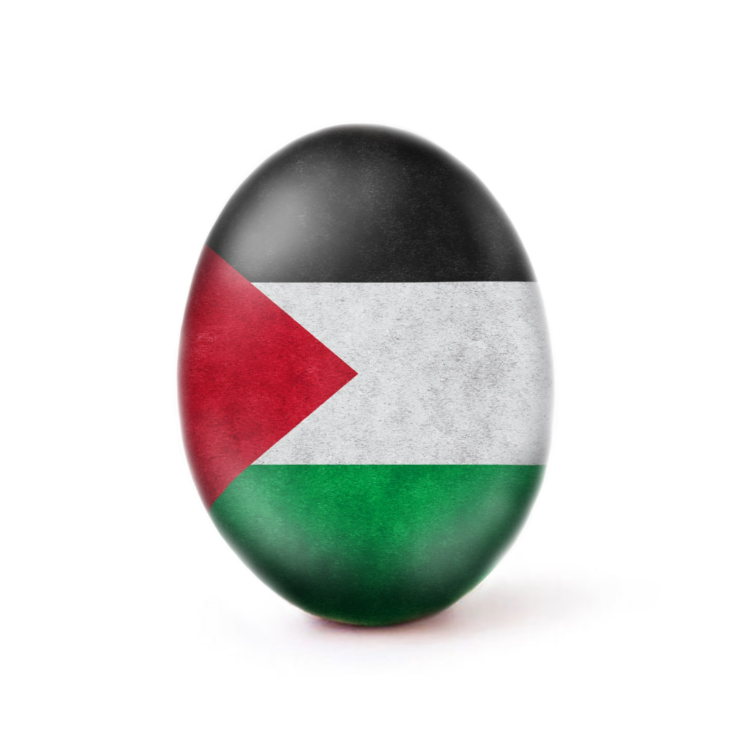 עם דגל פלסטין: הביצה באינסטגרם מנסה לשבור שיא חדש