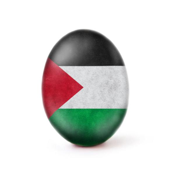 עם דגל פלסטין: הביצה באינסטגרם מנסה לשבור שיא חדש