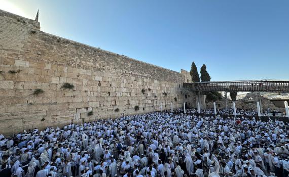 צפו: אלפי תלמידי ישיבות ההסדר בתפילה בכותל