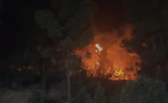 שריפת ענק ביער ביריה, בקצרין הושגה שליטה על האש