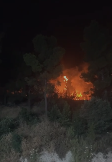 שריפת ענק ביער ביריה, בקצרין הושגה שליטה על האש