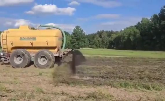 דיווח: בפולין מפזרים צואת חזירים להרחיק מסתננים