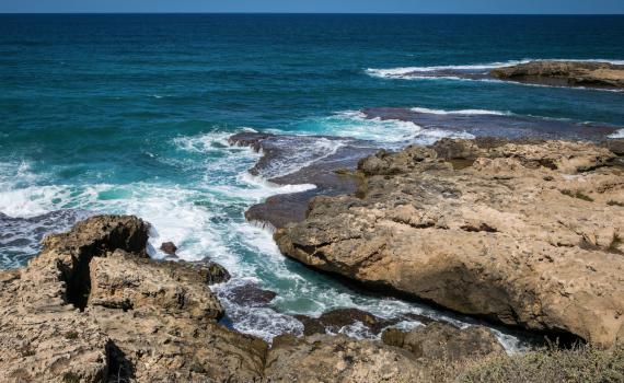 משרד הבריאות מזהיר: הרחצה בחוף בהרצליה נאסרה