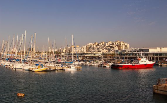 טרגדיה באשקלון: גבר טבע למוות, שני פצועים נוספים