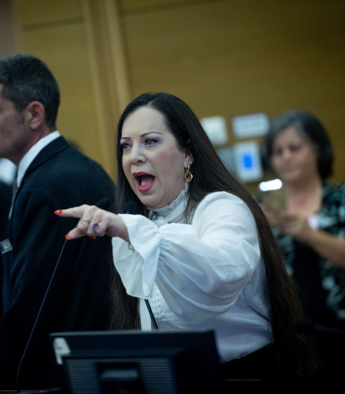 גוטליב: "גאה במפגינים נגד עודה, הוא תומך באנסים"