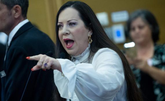 מהומה בכנסת: "זה הכינוי שלך, מלאכית של אנסים"