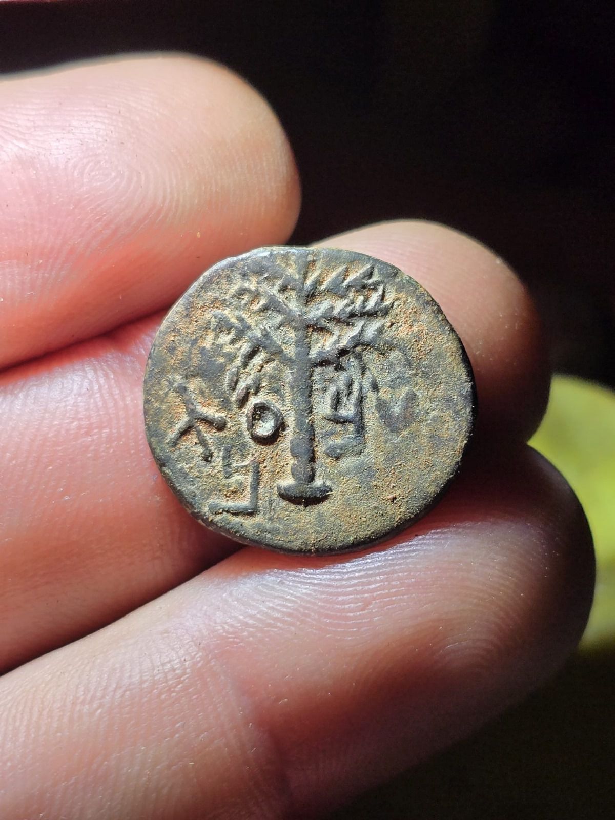 דרישת שלום מבר כוכבא: נמצא מטבע בישוב סוסיא