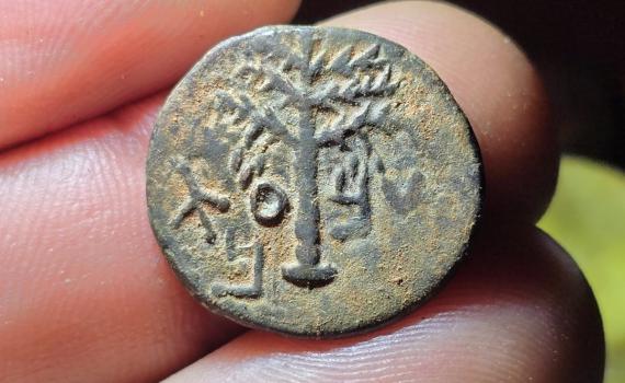 דרישת שלום מבר כוכבא: נמצא מטבע בישוב סוסיא