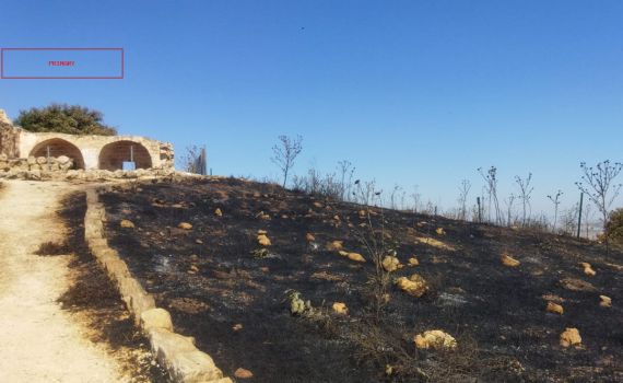 עלייה של 100% בהצתות בחודש מאי לעומת אשתקד