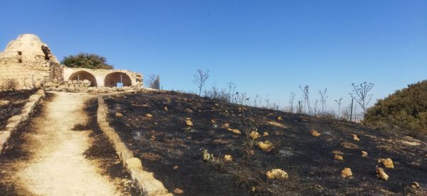 עלייה של 100% בהצתות בחודש מאי לעומת אשתקד
