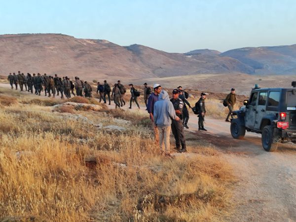 הפקחים הרסו מטע עצי פרי שננטע על ידי אהוביה סנדק