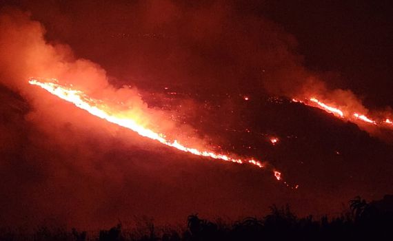 מחיר כואב: 45 אלף דונמים נשרפו בצפון מתחילת יוני