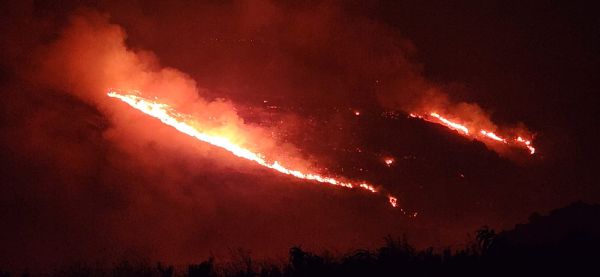 מחיר כואב: 45 אלף דונמים נשרפו בצפון מתחילת יוני