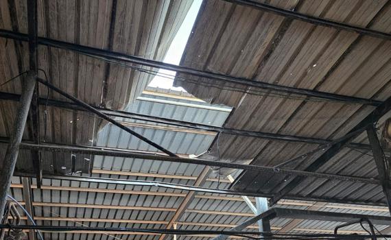 רקטה נפלה בתוך רפת בעין השלושה: שלוש פרות נהרגו