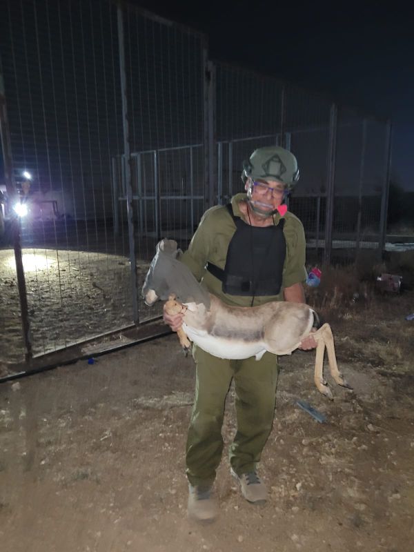 במבצע מיוחד: 6 צבאים חולצו מתוך כפר פלסטיני