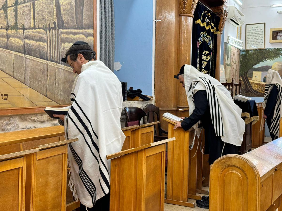 צפו: הנשיא הרצוג מתפלל שחרית בבית הכנסת האר"י