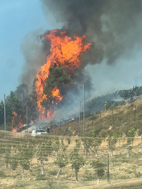 שריפת ענק בגוש עציון: הלהבות מתקרבות לחטמ"ר