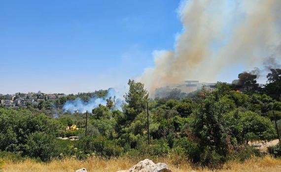 שריפה פרצה ביער חרובית: עשרות מטיילים פונו מהאזור