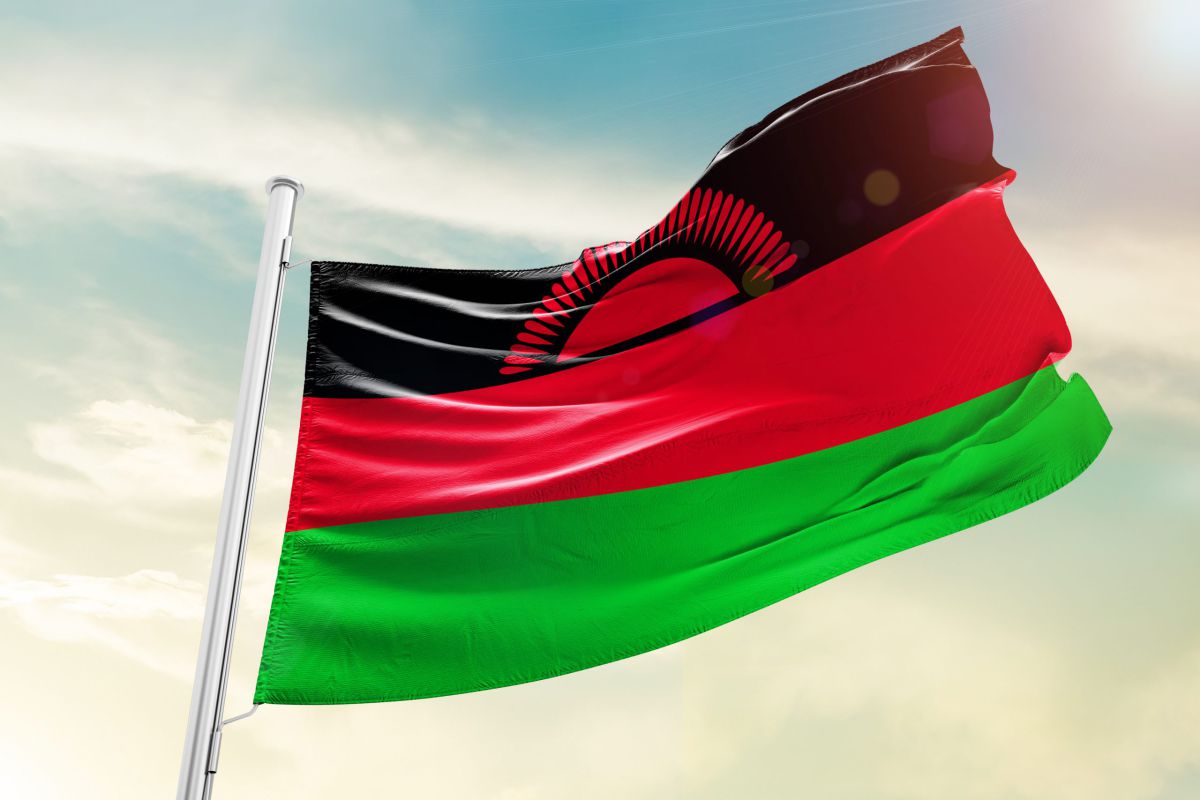 אין ניצולים: סגן נשיא מלאוויי נהרג בהתרסקות מטוס