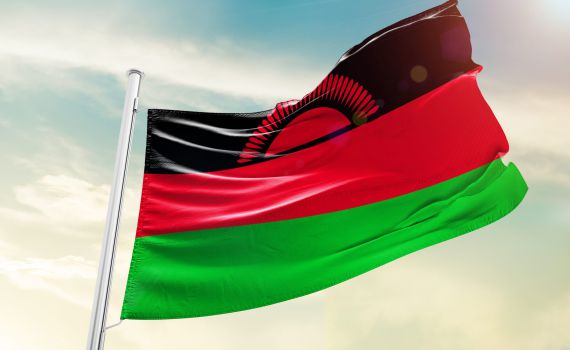 אין ניצולים: סגן נשיא מלאוויי נהרג בהתרסקות מטוס