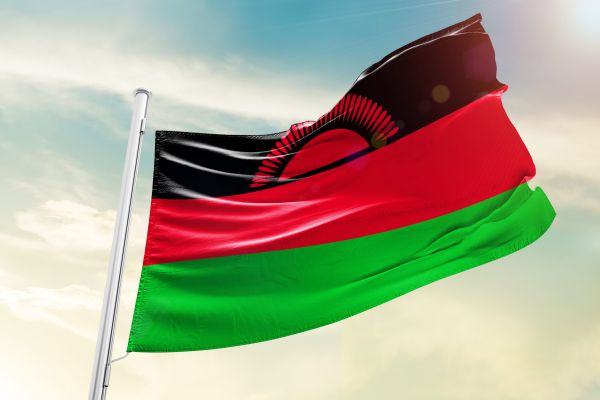 אין ניצולים: סגן נשיא מלאוויי נהרג בהתרסקות מטוס