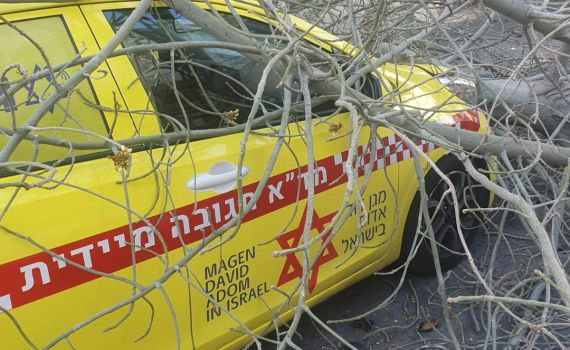 תל אביב: עץ קרס על ניידת מד"א; הצוות ניצל. צפו