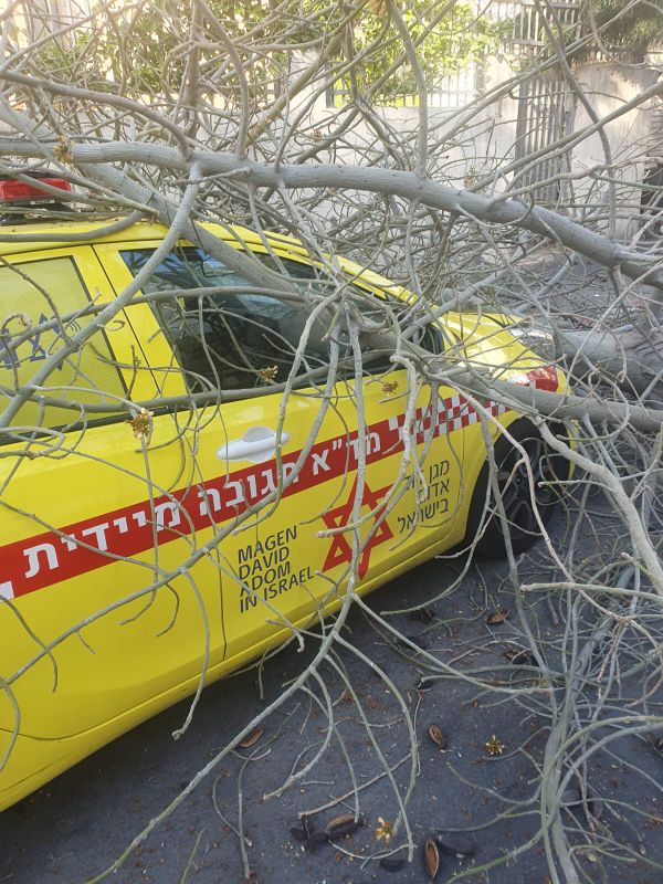 תל אביב: עץ קרס על ניידת מד"א; הצוות ניצל. צפו