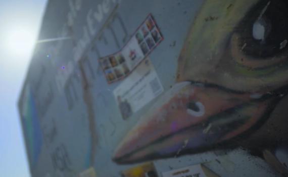 עיתונאית כאן 11 שנרצחה תיעדה את רגעיה האחרונים