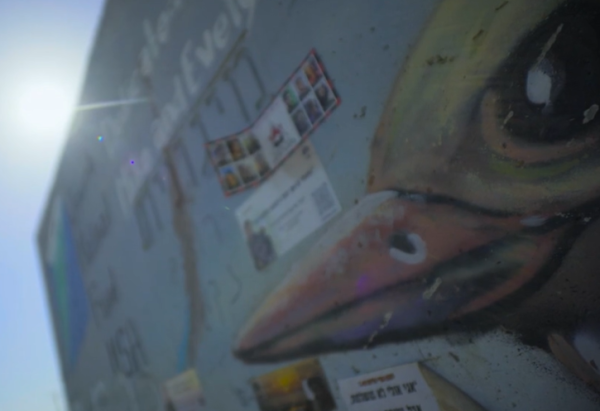 עיתונאית כאן 11 שנרצחה תיעדה את רגעיה האחרונים