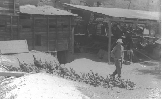 היום בהיסטוריה: הקרב על שלושת התילים שקבע את הגבול המזרחי