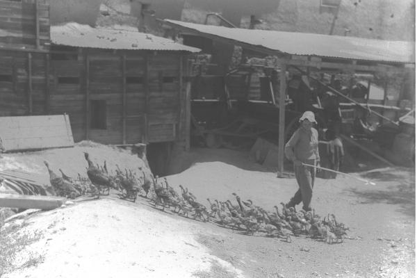 היום בהיסטוריה: הקרב על שלושת התילים שקבע את הגבול המזרחי