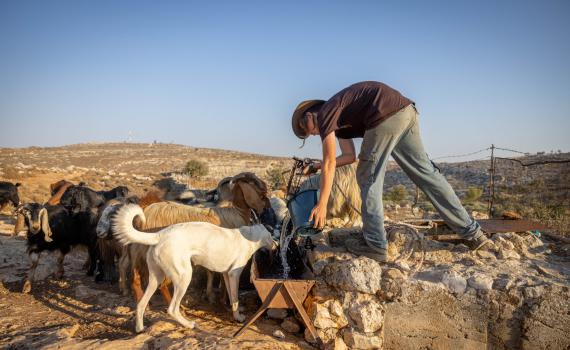 פיגוע בבנימין: מחבלים ביצעו לינץ' ברועה צאן