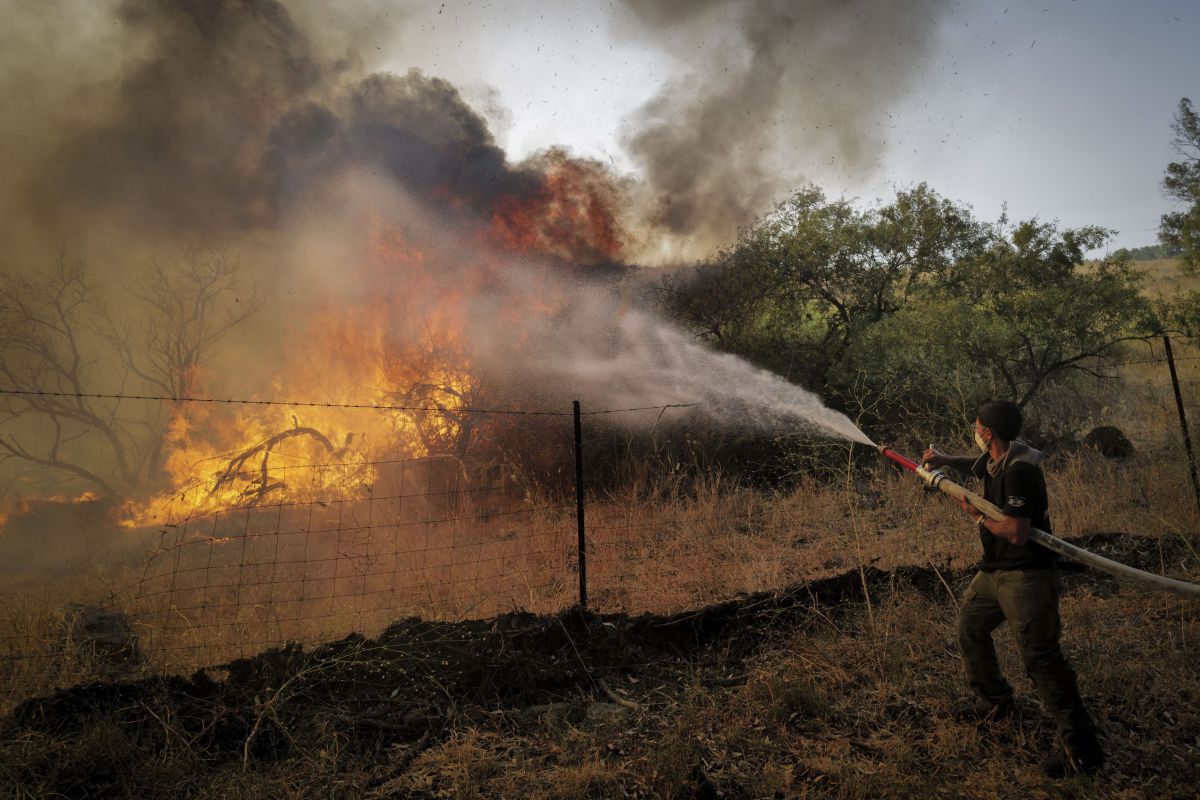 מנהל המרחב: זה האסון הגדול בהיסטוריה של קק"ל
