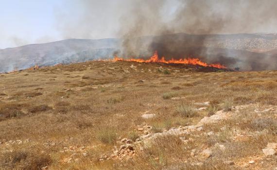 חשד להצתות בשני מוקדים ביו"ש, לוחמי האש הוזנקו