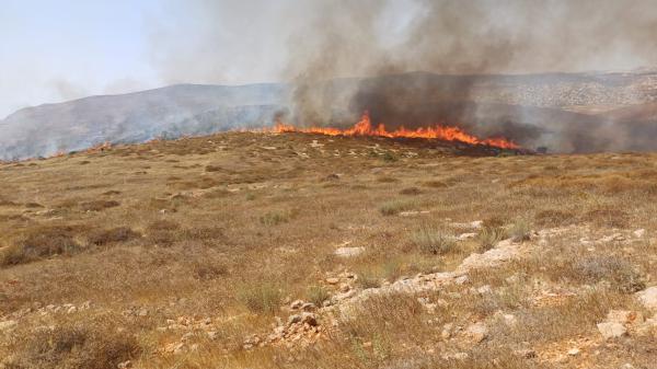 חשד להצתות בשני מוקדים ביו"ש, לוחמי האש הוזנקו
