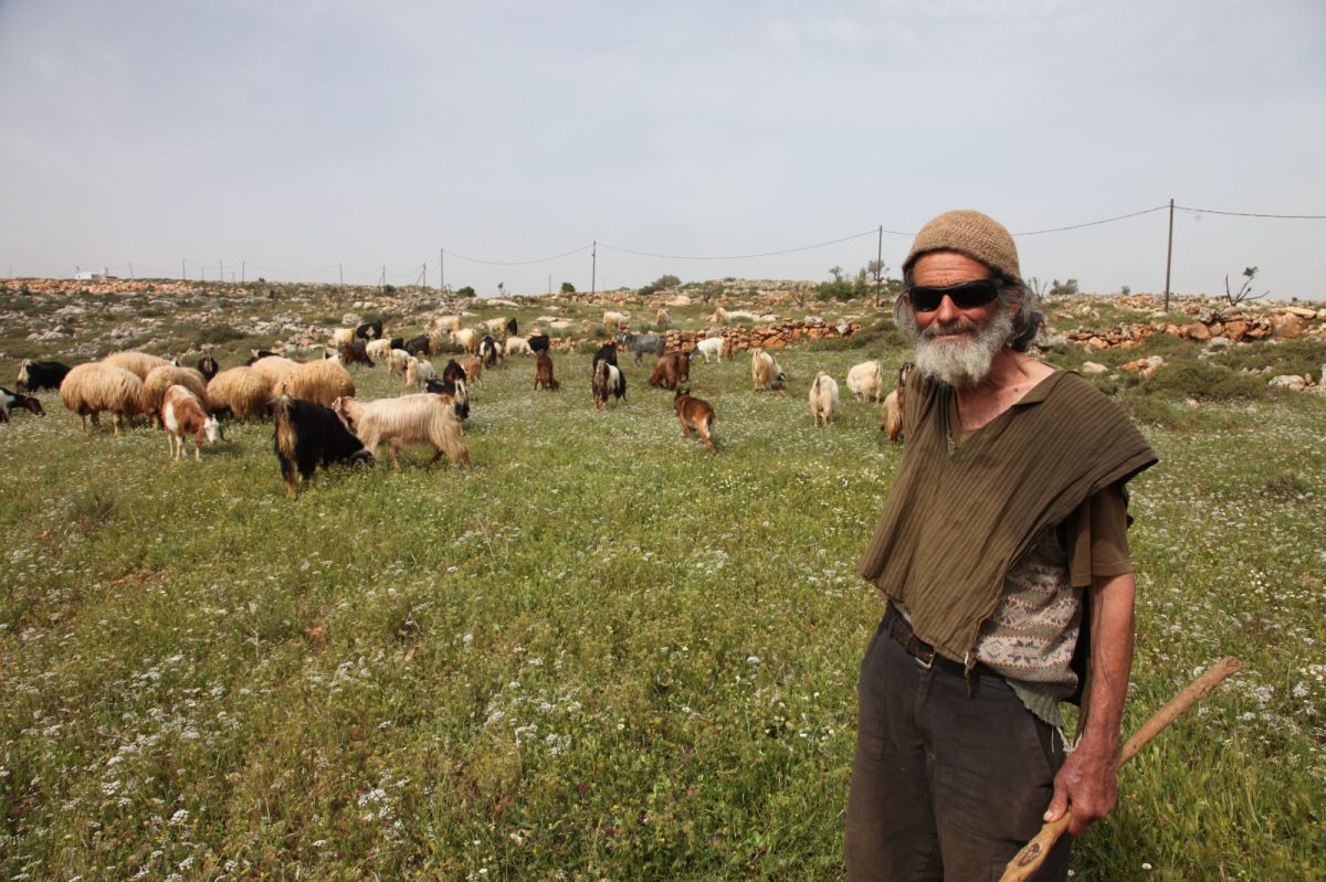 אבל בשומרון: רועה הצאן האגדי הלך לעולמו
