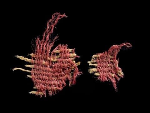 בישראל: אותרה העדות הקדומה בעולם לצבע השני