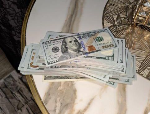 נעצרה חולייה של סטודנטים פלסטיניים שתיכננה פיגוע