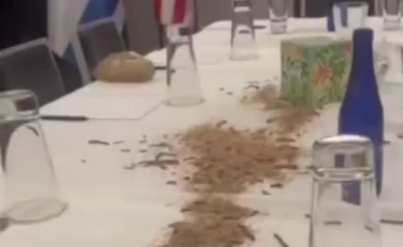 אין גבולות: פלסטינים פרצו למלון נתניהו ופיזרו תולעים