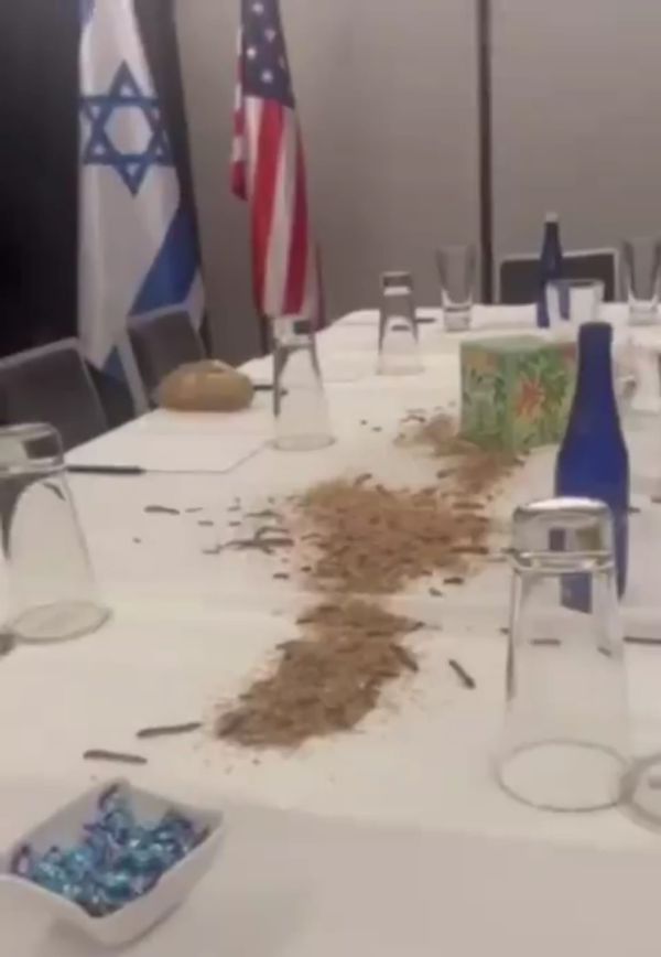 אין גבולות: פלסטינים פרצו למלון נתניהו ופיזרו תולעים