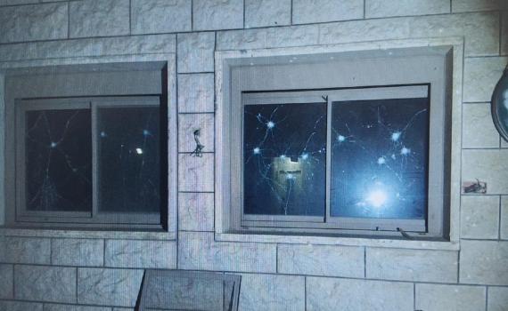 רימוני רסס וסחיטה באיומים: כך הסתיימה עסקה חקלאית תמימה